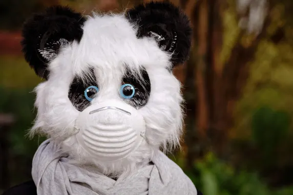 ビッグ アザート カジノ サポート